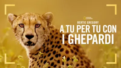 thumbnail - Bertie Gregory: A tu per tu con i Ghepardi