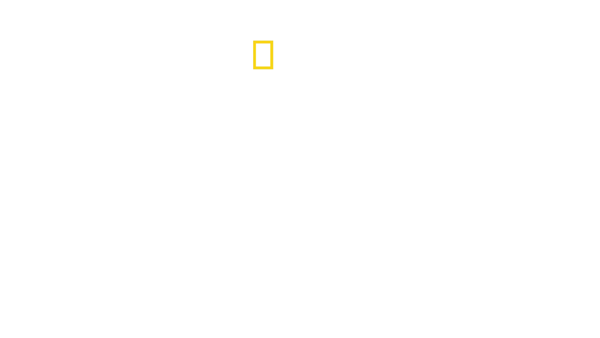 バーティのハイテク・クローズアップ！チーター編