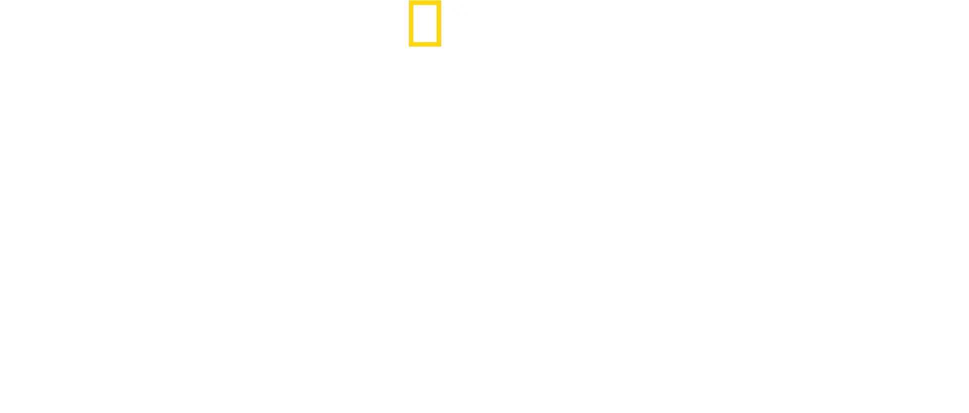 バーティのハイテク・クローズアップ！チーター編