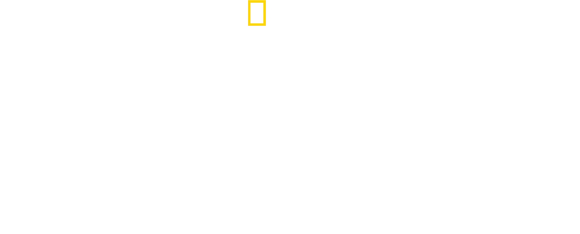 Bertie Gregory: bliskie spotkanie z gepardami