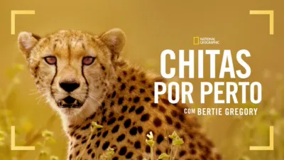 thumbnail - Chitas de Perto com Bertie Gregory