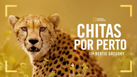 thumbnail - Chitas de Perto com Bertie Gregory