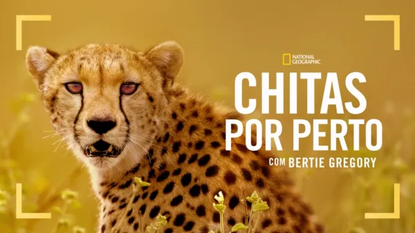 thumbnail - Chitas de Perto com Bertie Gregory