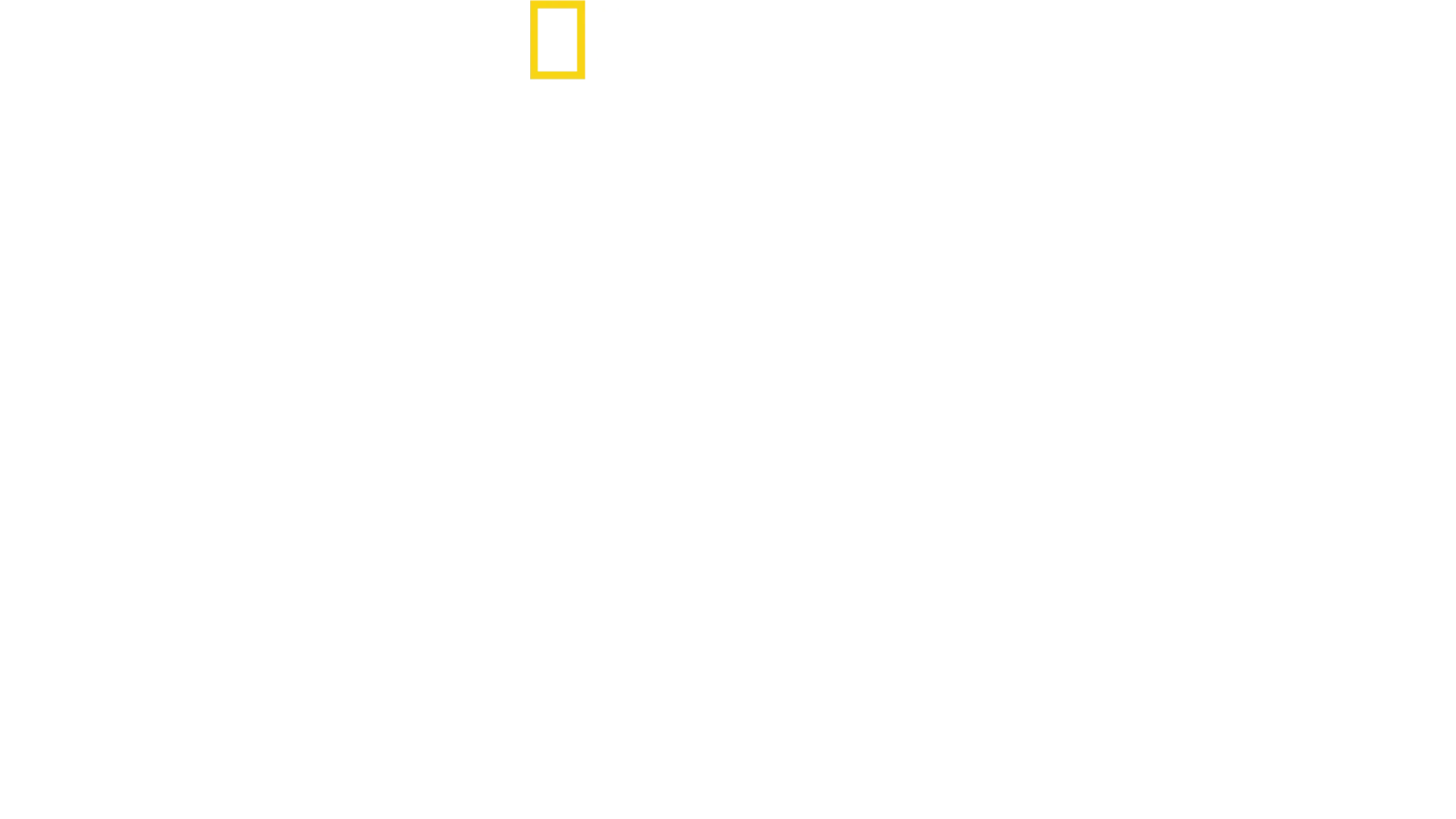 Despre gheparzi cu Bertie Gregory