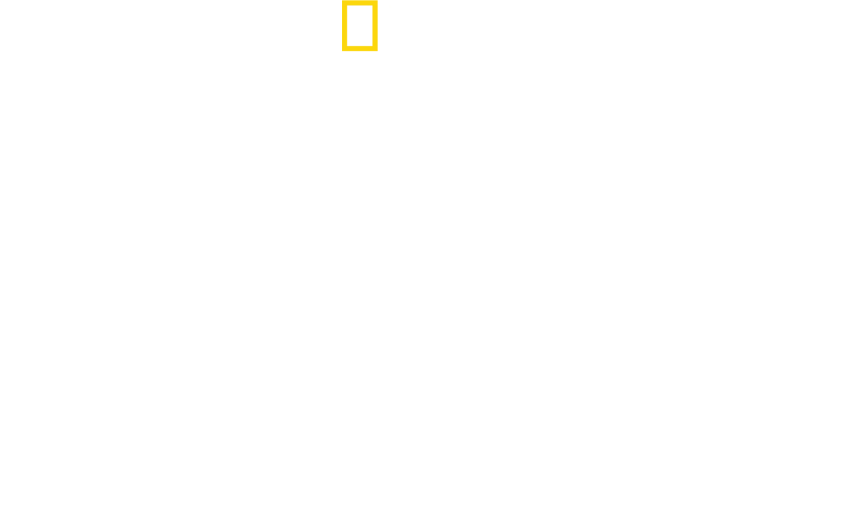 Despre gheparzi cu Bertie Gregory