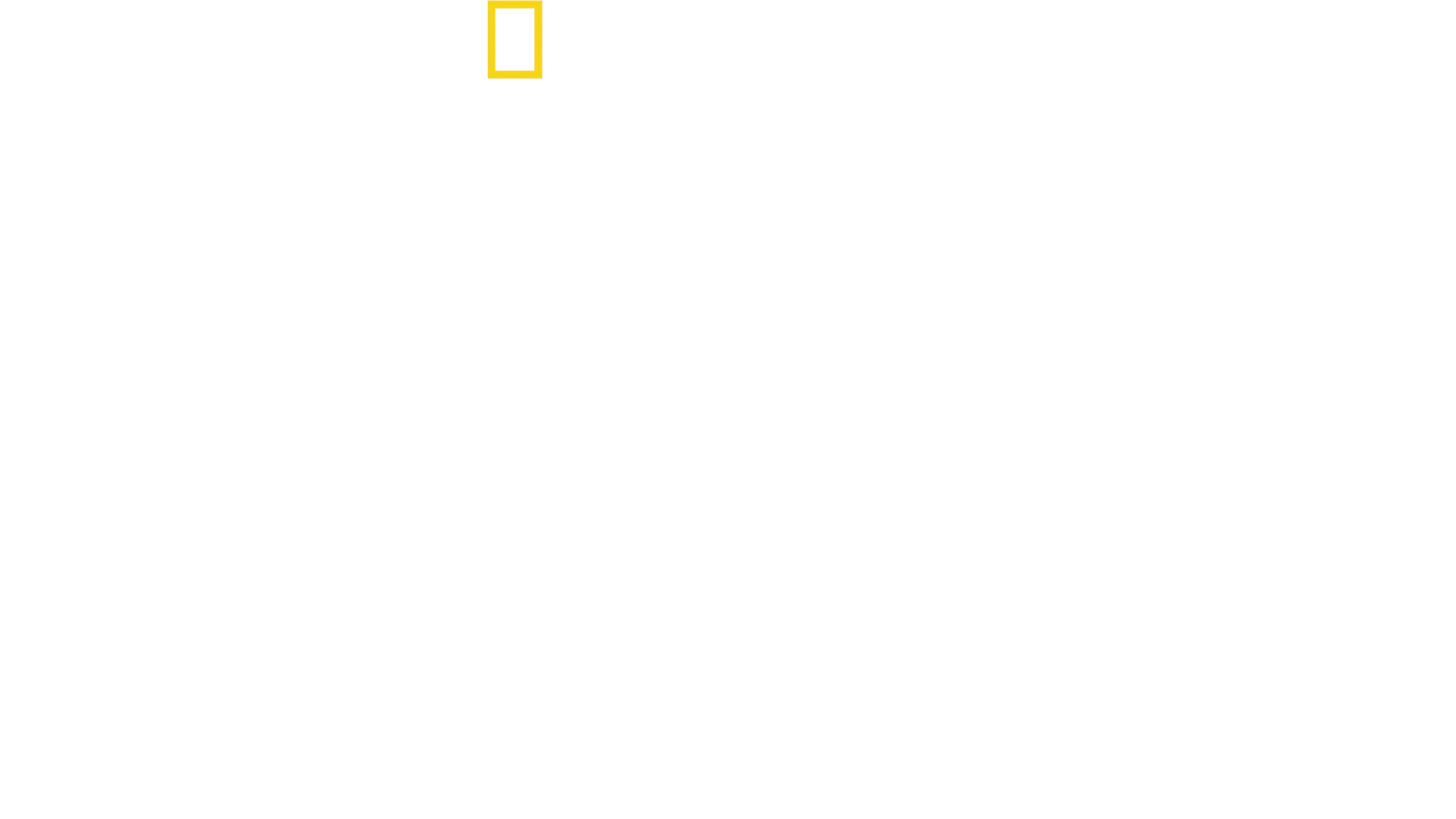 Gepardy zblízka s Bertiem Gregorym