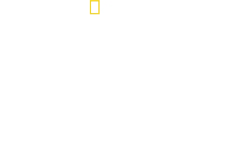 Gepardy zblízka s Bertiem Gregorym