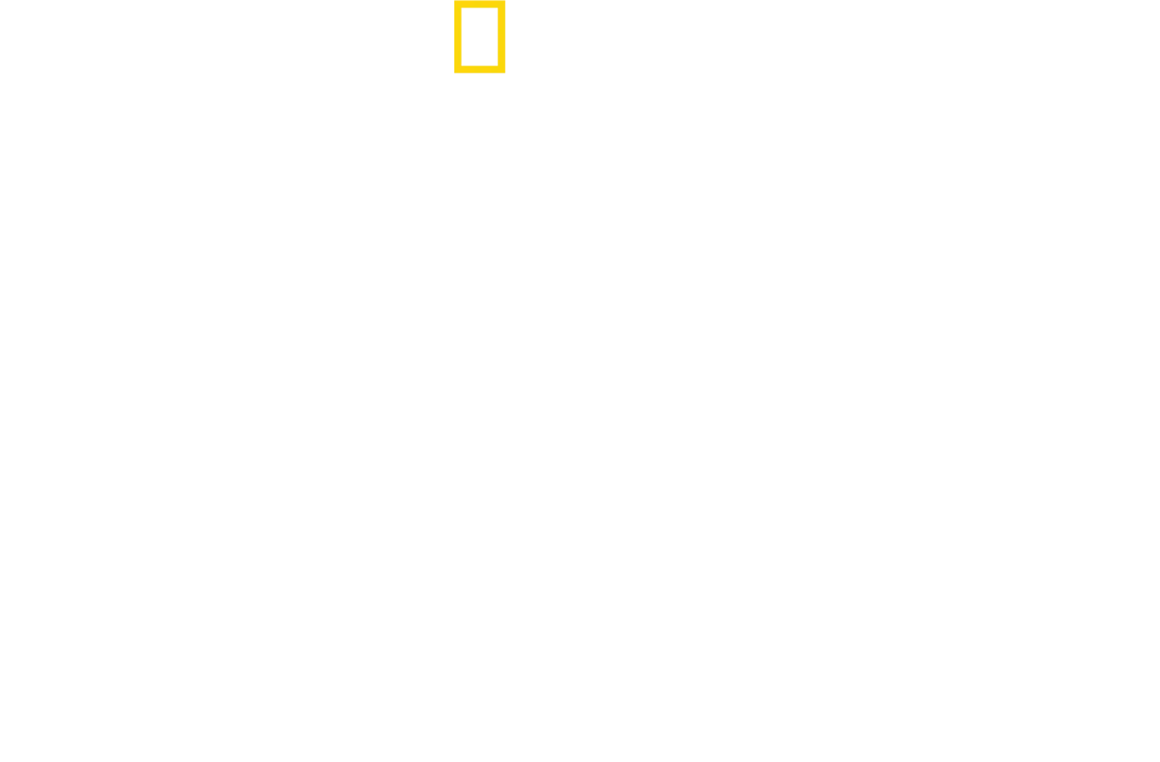 Gepardy zblízka s Bertiem Gregorym