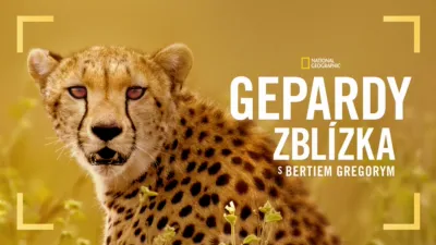 thumbnail - Gepardy zblízka s Bertiem Gregorym
