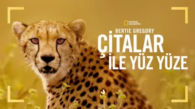 thumbnail - Bertie Gregory Çitalar ile Yüz Yüze