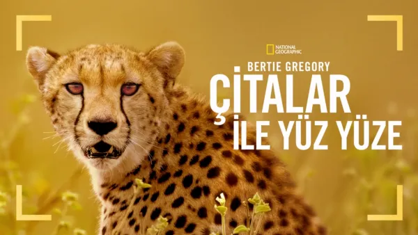 thumbnail - Bertie Gregory Çitalar ile Yüz Yüze