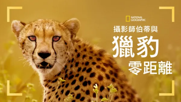 thumbnail - 攝影師伯蒂與獵豹零距離