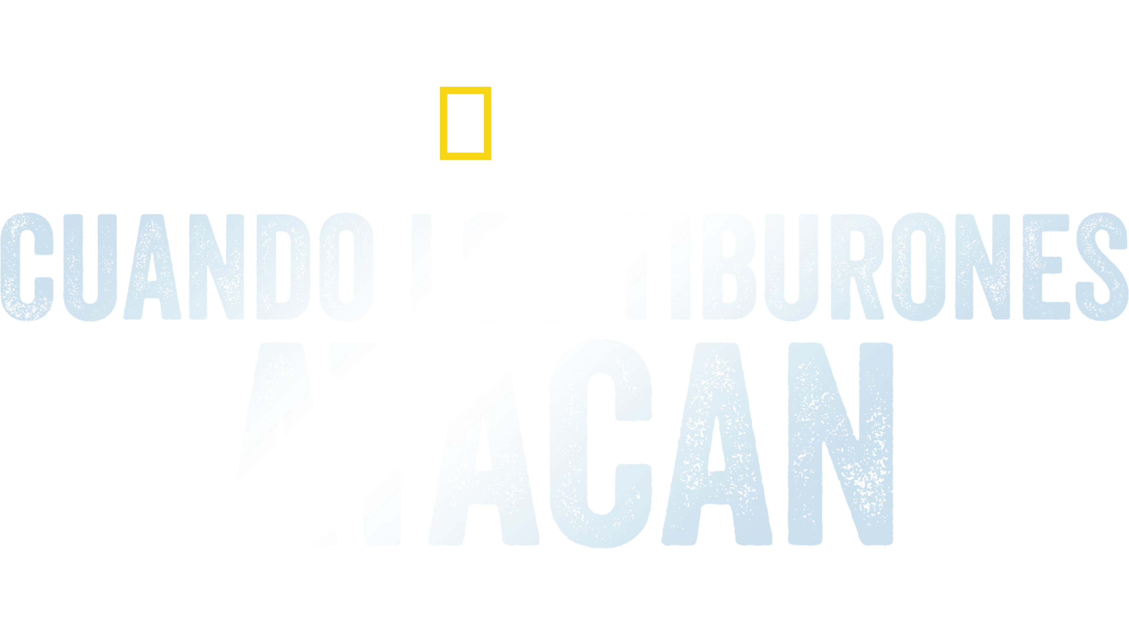 When Sharks Attack... And Why