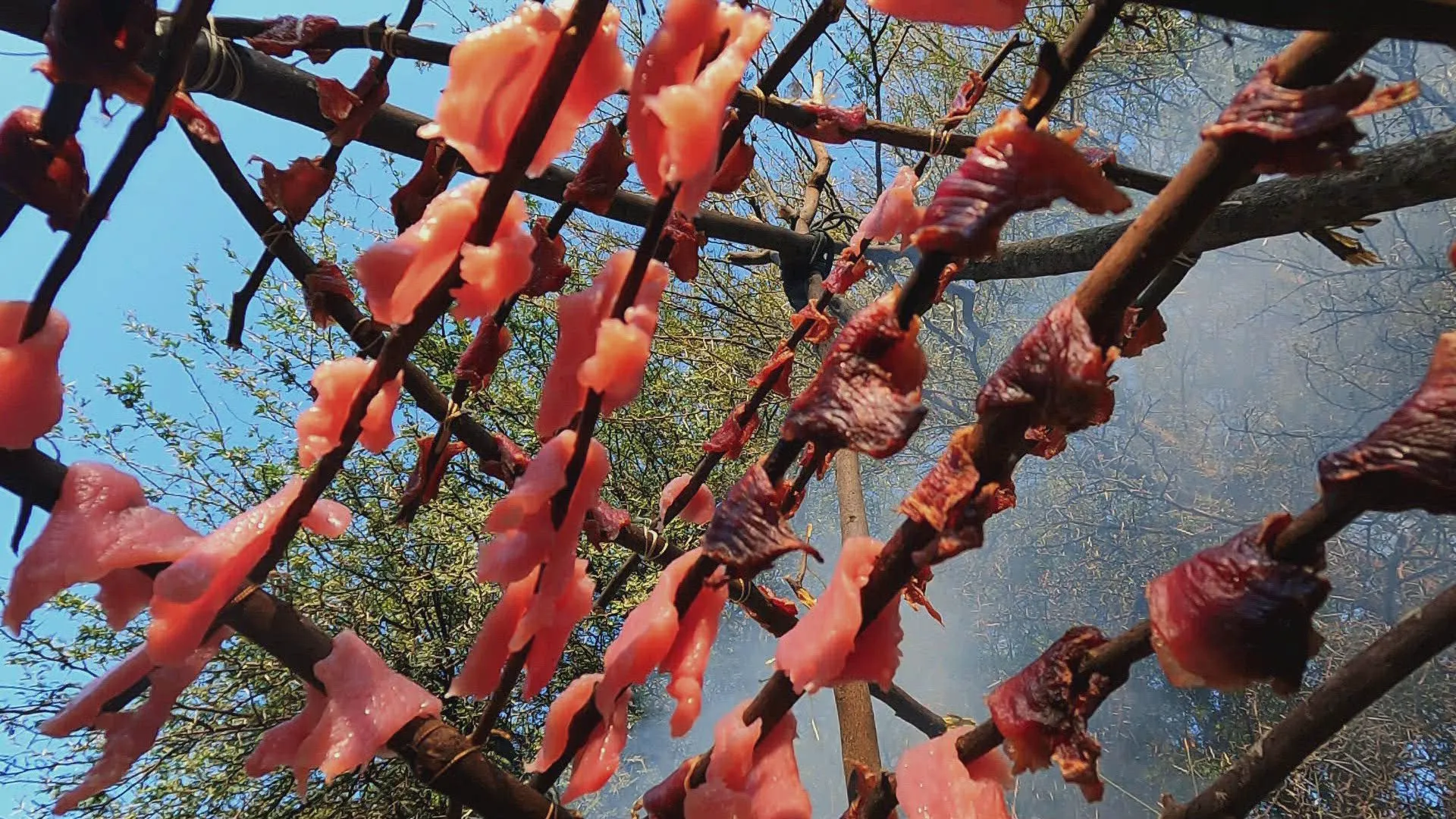 thumbnail - S12:E3 Thirst Trap