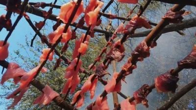 thumbnail - S12:E3 Thirst Trap