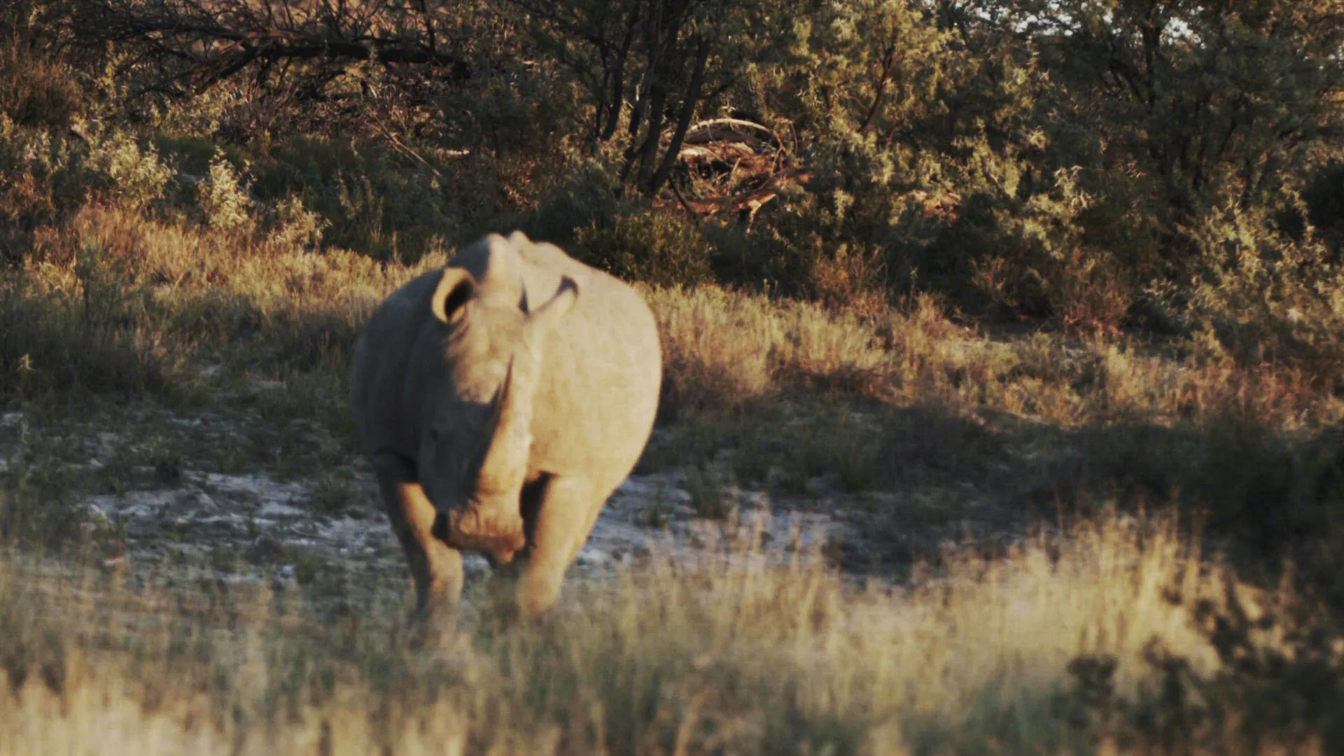 thumbnail - S12:E5 The Tempest