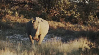 thumbnail - S12:E5 The Tempest