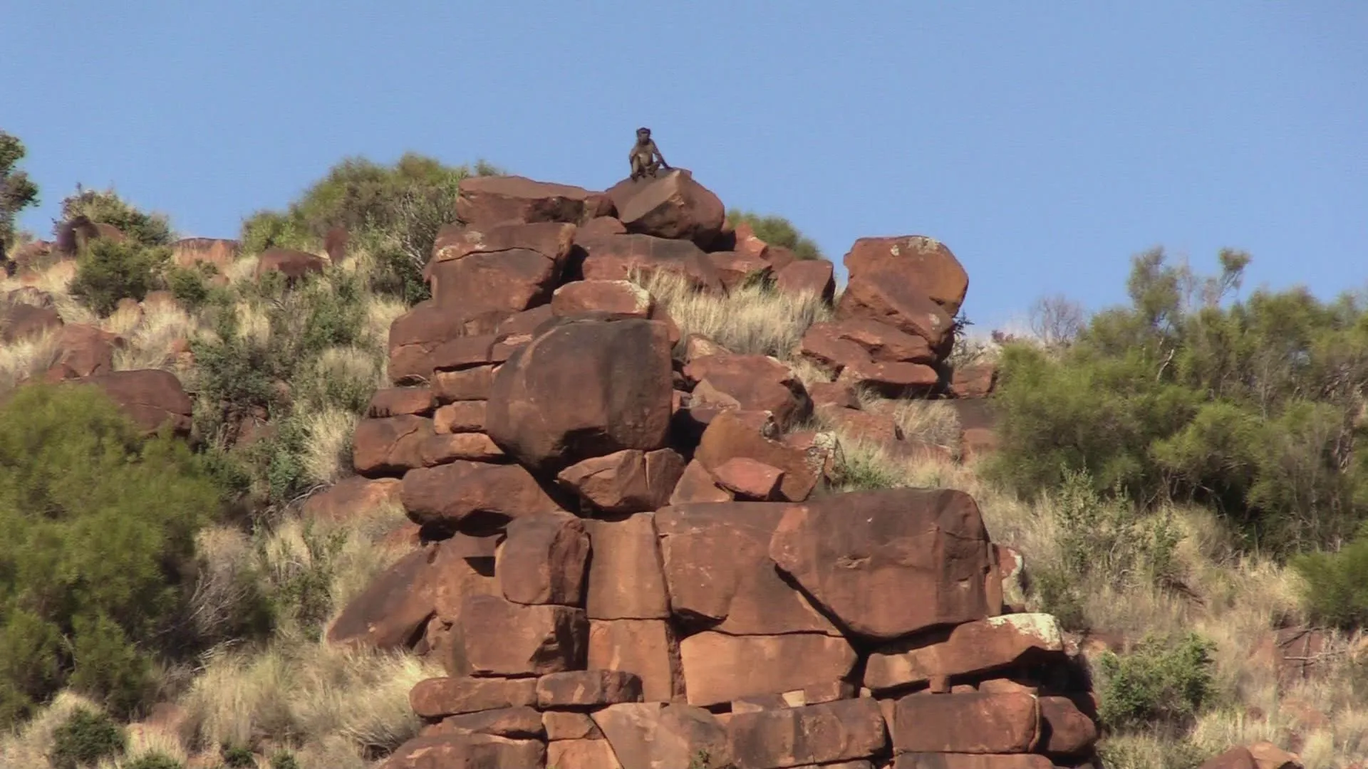 thumbnail - S12:E1 The Land of Great Thirst