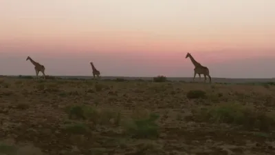 thumbnail - S12:E8 Weak Spot