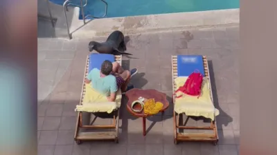 thumbnail - S6:E9 Refund Rage