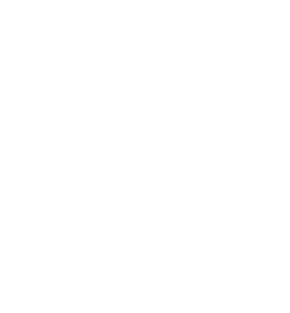 Trilli e il segreto delle ali