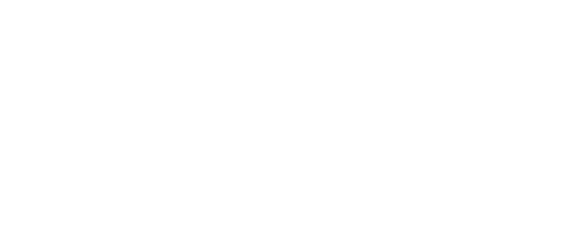 ティンカー・ベルと輝く羽の秘密