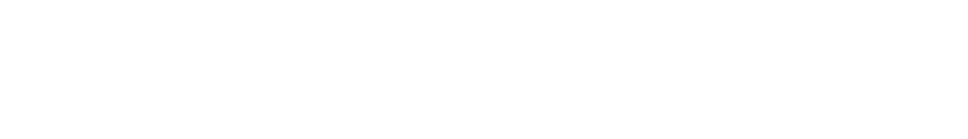 The Big Brother
