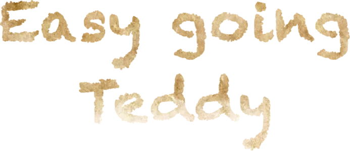 Easygoing Teddy
