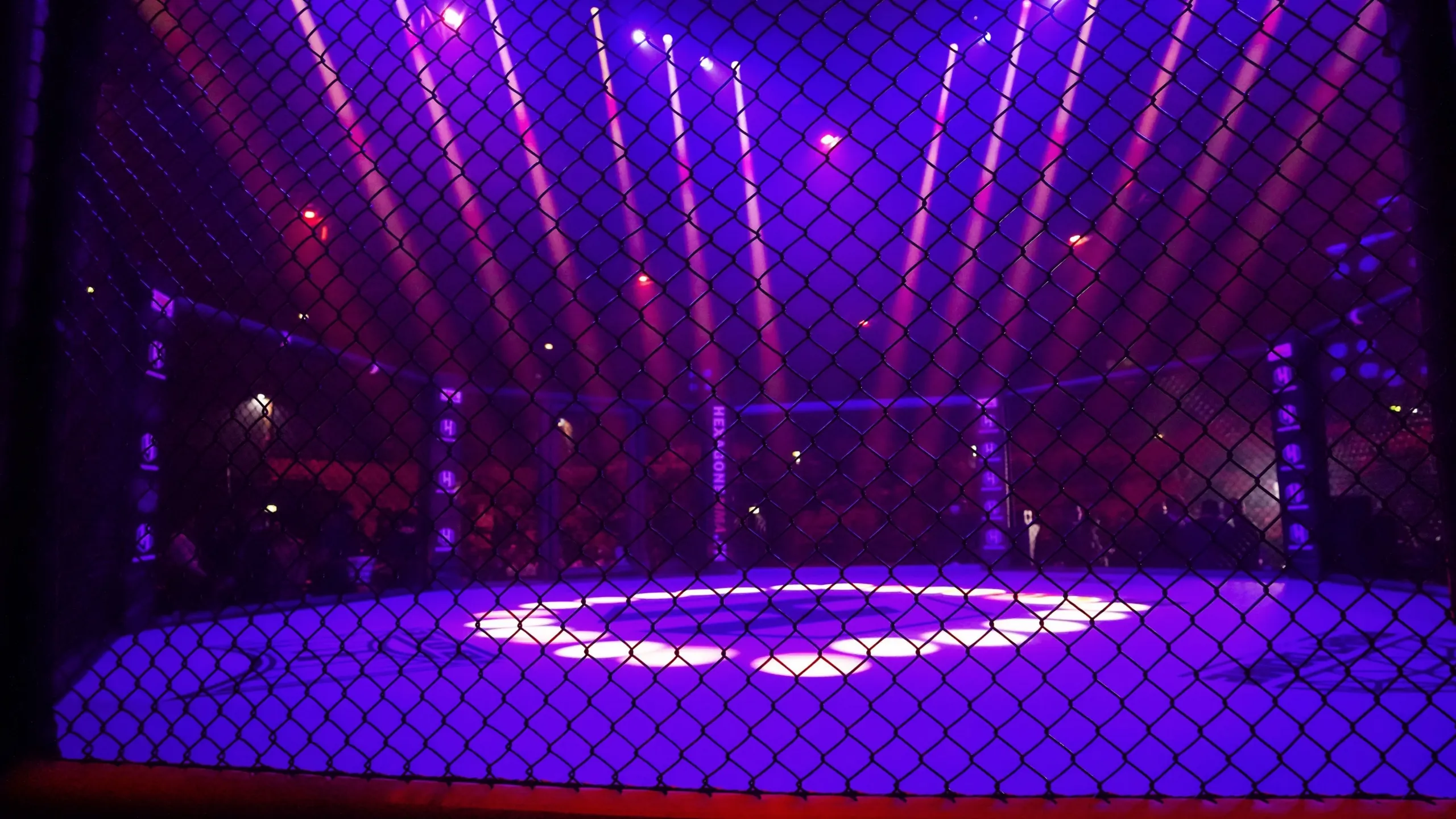 Lights Out Extreme Fighting