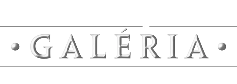 Disney Galéria / Star Wars: Boba Fett könyve