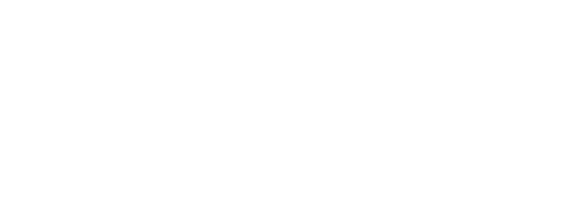 Tikun ja Takun pelastuspartio