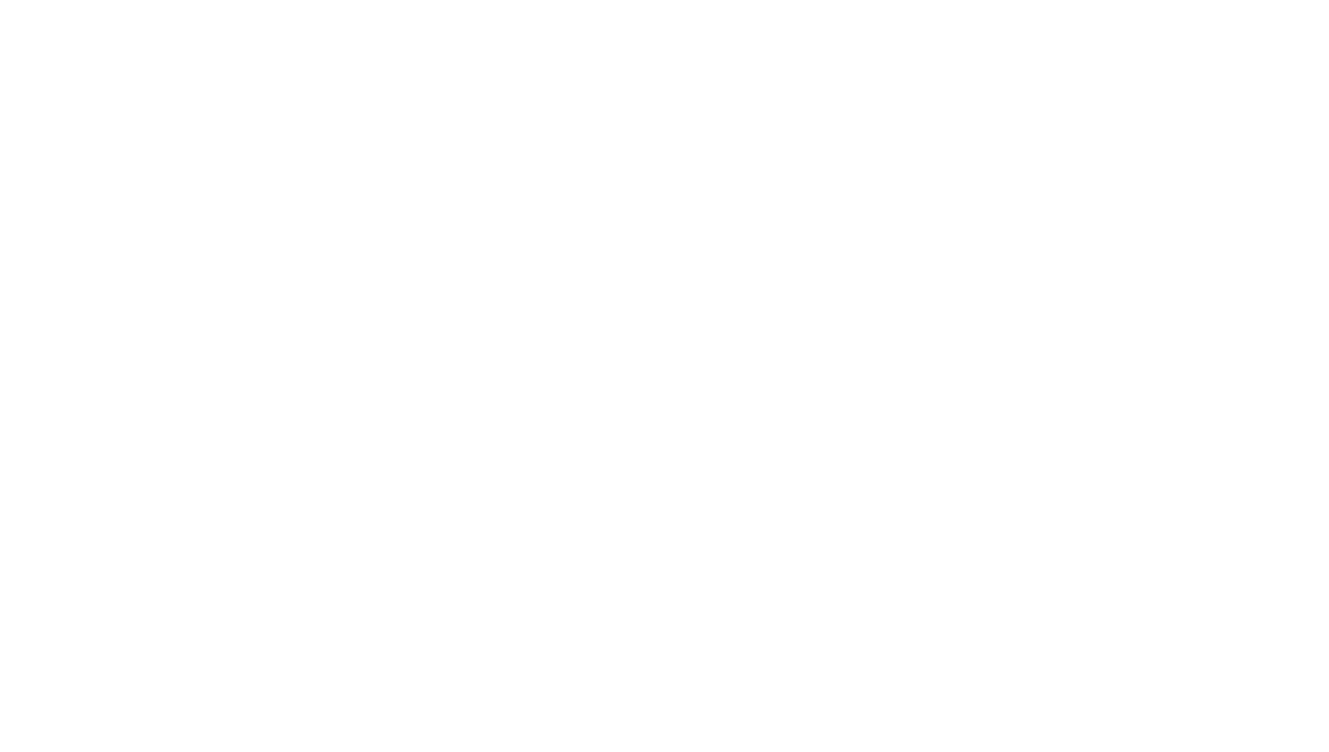 Chip y Chop: Los Guardianes Rescatadores