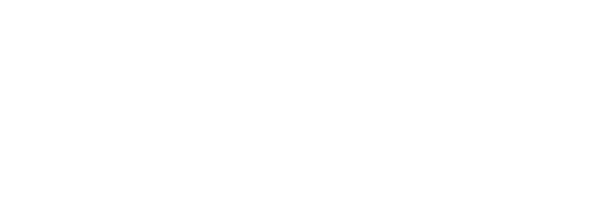 Tico e Teco: o Comando Salvador