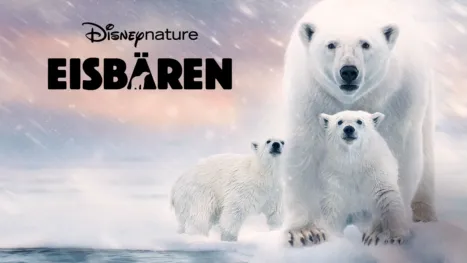 thumbnail - Eisbären