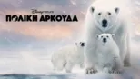 thumbnail - Πολική Αρκούδα