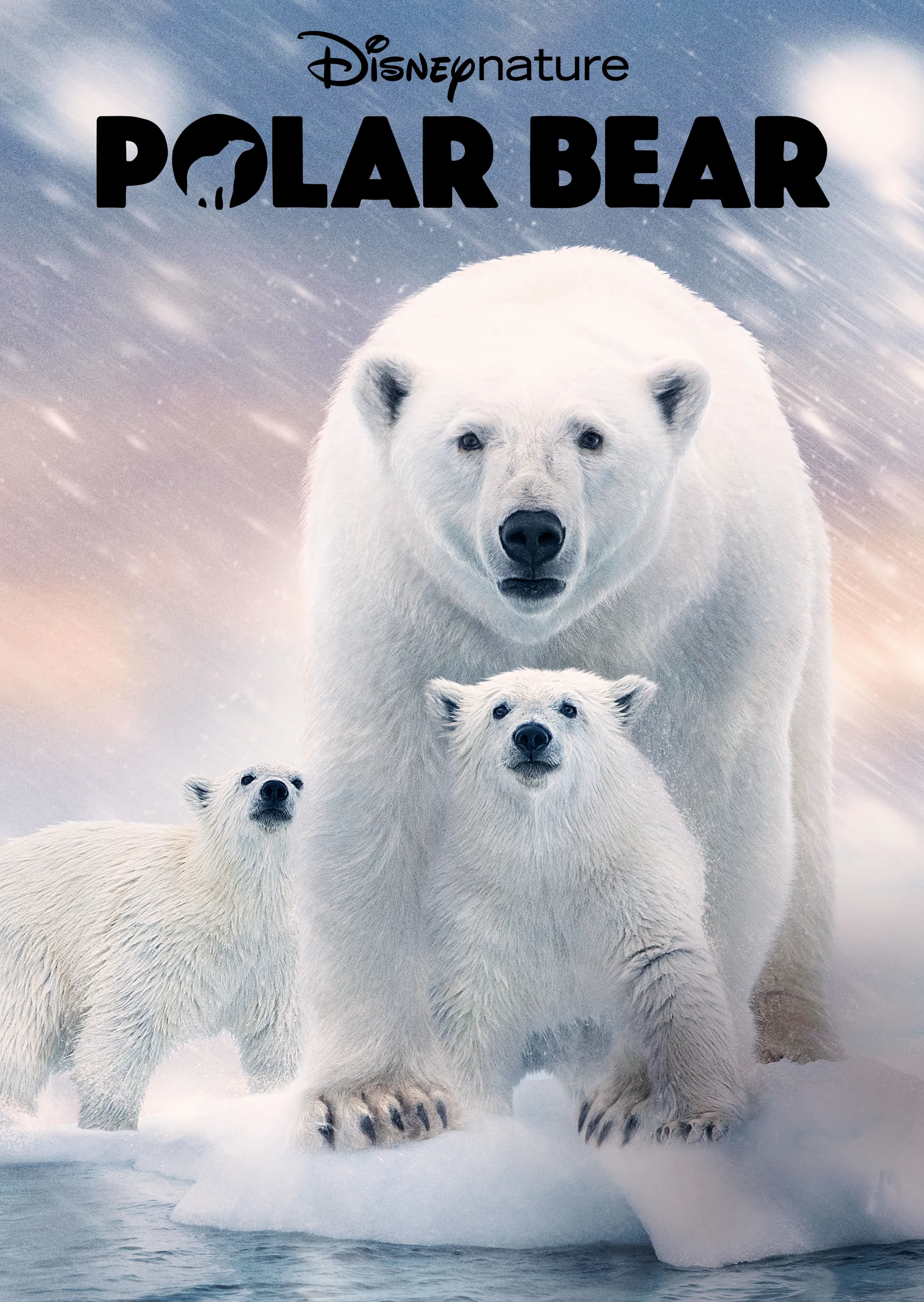 Polar Bear