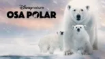 thumbnail - Osa polar