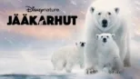thumbnail - Jääkarhut