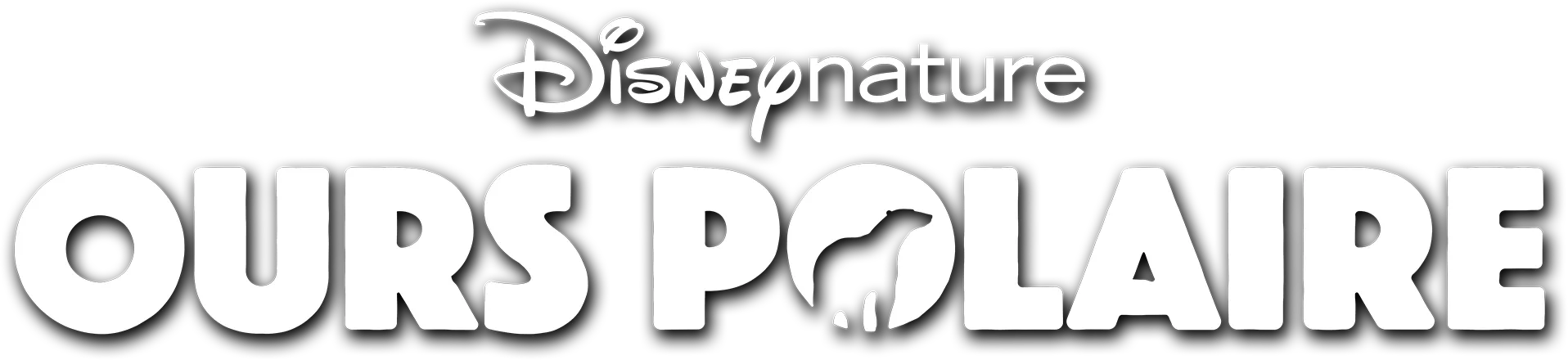 Ours polaire