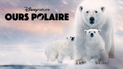 Ours polaire