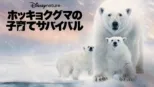 thumbnail - ディズニーネイチャー／ホッキョクグマの子育てサバイバル