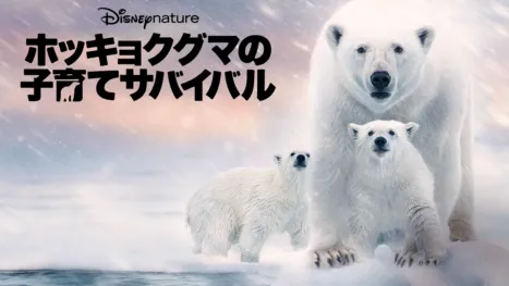 thumbnail - ディズニーネイチャー／ホッキョクグマの子育てサバイバル