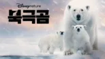 thumbnail - 북극곰