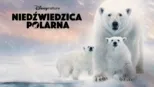 thumbnail - Niedźwiedzica polarna
