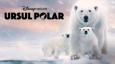 thumbnail - Ursul Polar