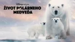 thumbnail - Život polárneho medveďa