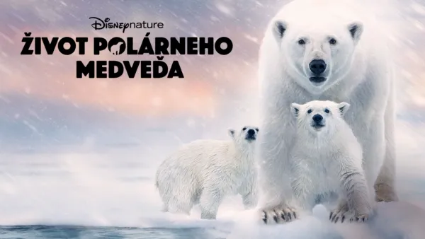 thumbnail - Život polárneho medveďa