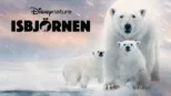 thumbnail - Isbjörnen