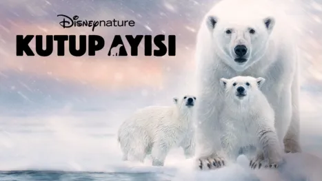 thumbnail - Kutup Ayısı