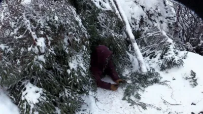 thumbnail - S1:E8 The Bitter End